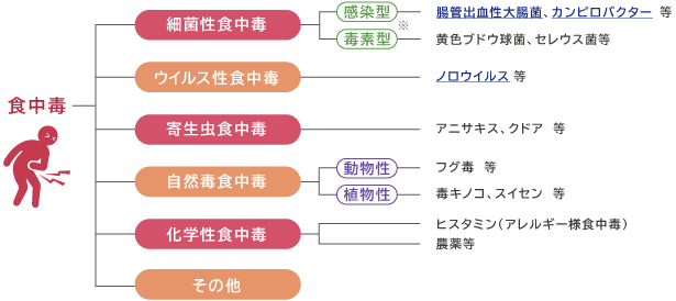 食中毒の分類