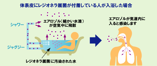 感染経路の例