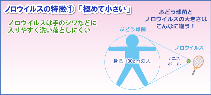 ノロウイルスの特徴①「極めて小さい」