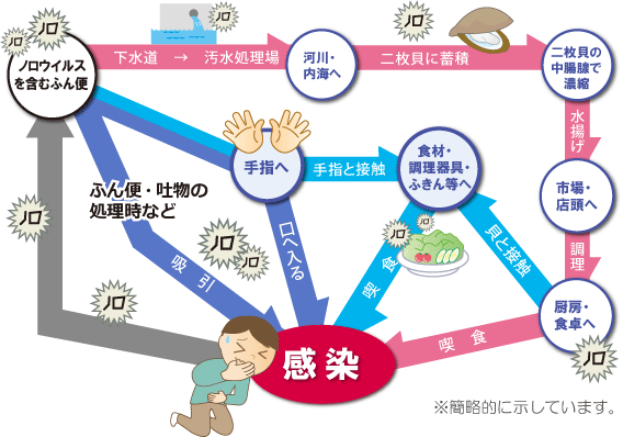 感染経路